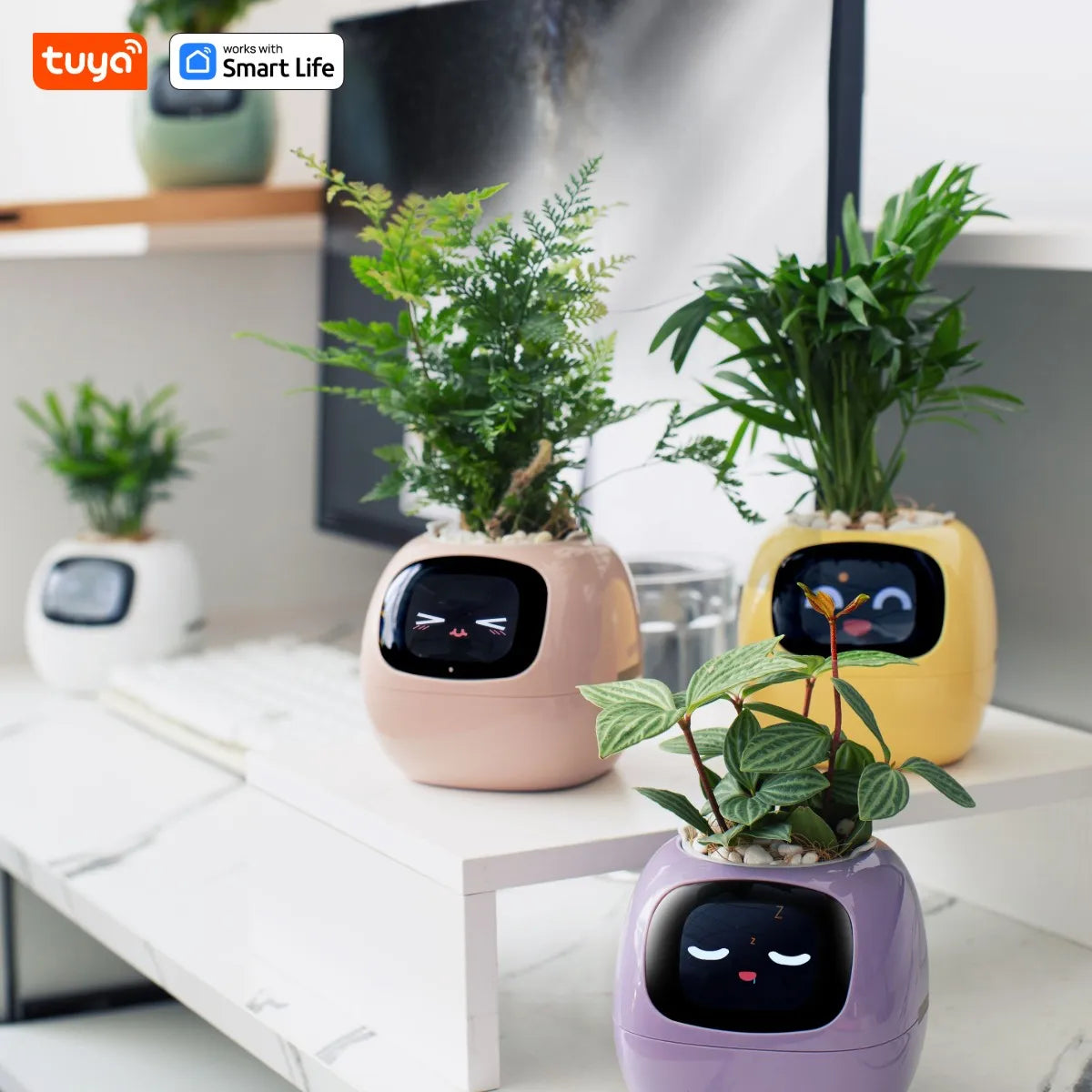 Il Vaso Intelligente che Rende il Giardinaggio Facile, Divertente e Hi-Tech con Oltre 49 Espressioni, 7 Sensori Intelligenti e Chip AI