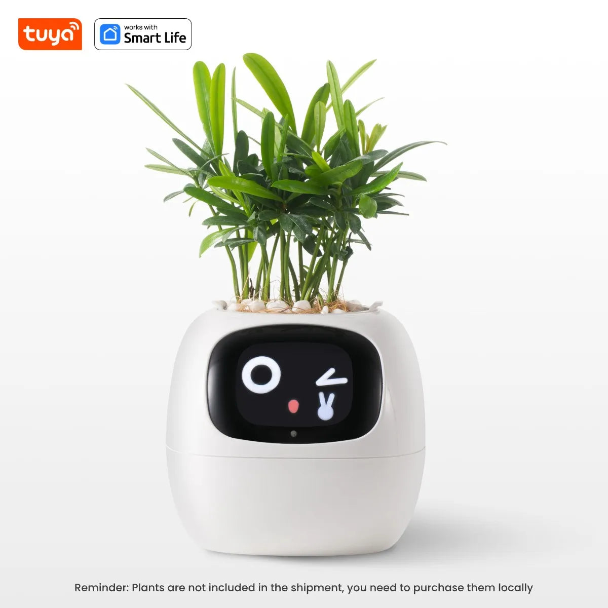 Il Vaso Intelligente che Rende il Giardinaggio Facile, Divertente e Hi-Tech con Oltre 49 Espressioni, 7 Sensori Intelligenti e Chip AI