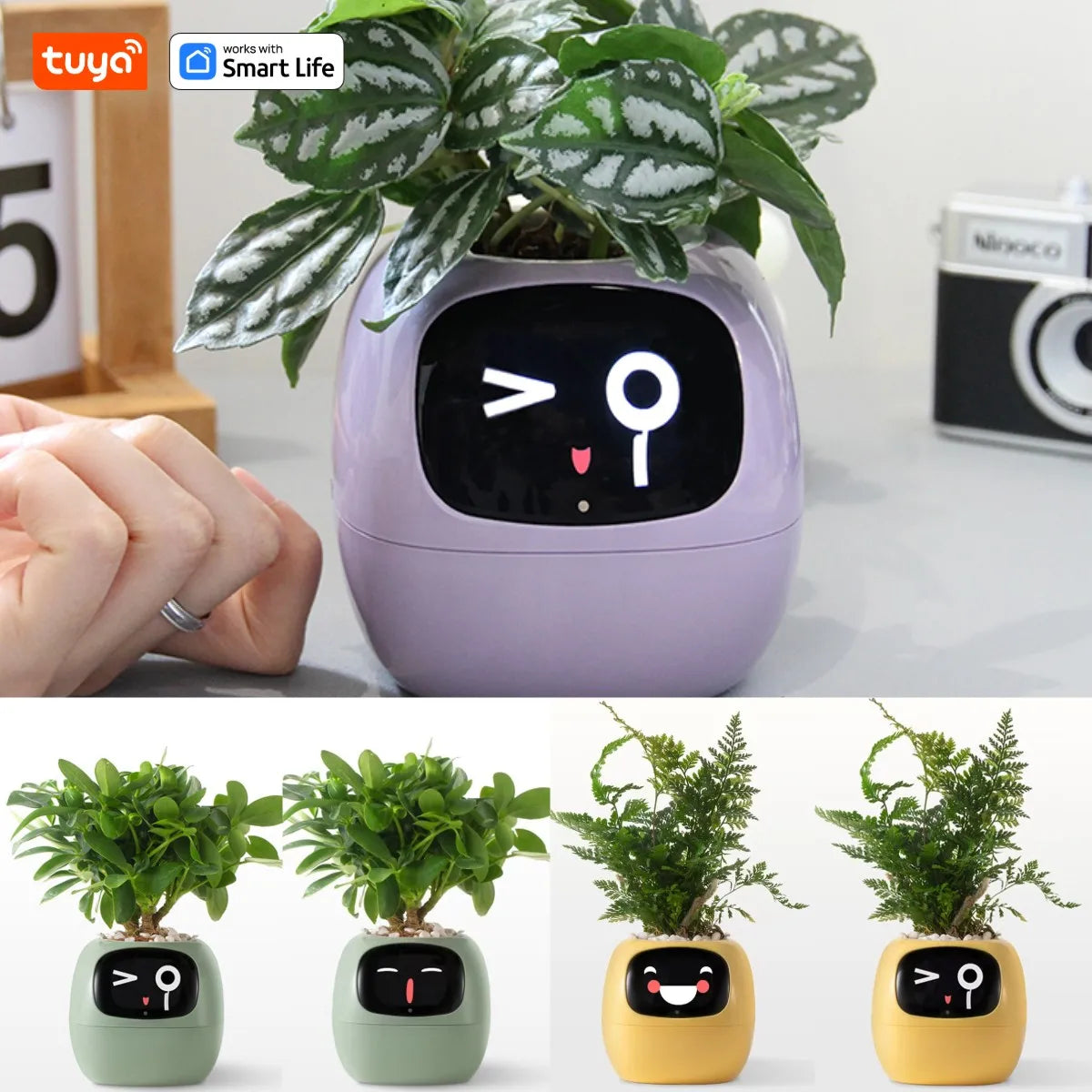 Il Vaso Intelligente che Rende il Giardinaggio Facile, Divertente e Hi-Tech con Oltre 49 Espressioni, 7 Sensori Intelligenti e Chip AI