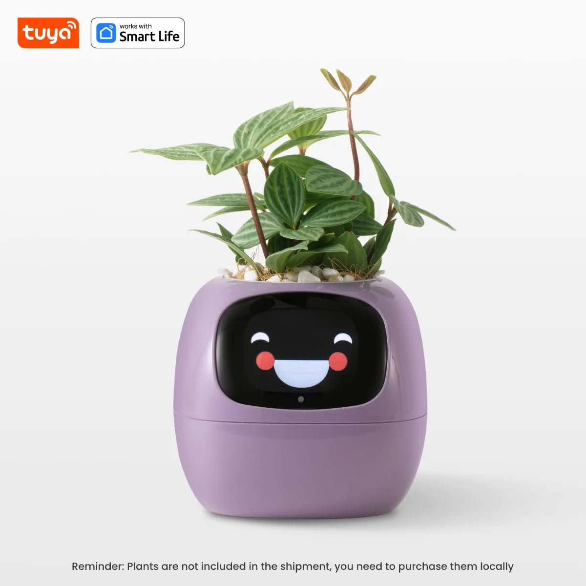 Il Vaso Intelligente che Rende il Giardinaggio Facile, Divertente e Hi-Tech con Oltre 49 Espressioni, 7 Sensori Intelligenti e Chip AI