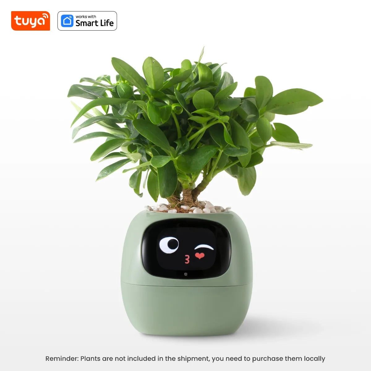 Il Vaso Intelligente che Rende il Giardinaggio Facile, Divertente e Hi-Tech con Oltre 49 Espressioni, 7 Sensori Intelligenti e Chip AI