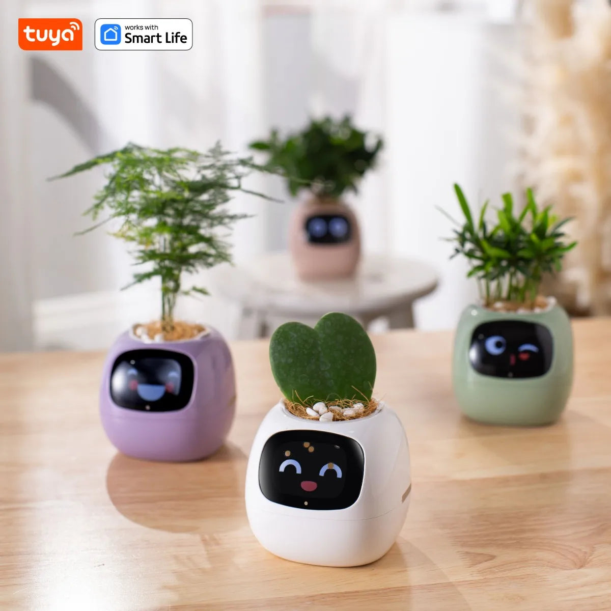Il Vaso Intelligente che Rende il Giardinaggio Facile, Divertente e Hi-Tech con Oltre 49 Espressioni, 7 Sensori Intelligenti e Chip AI