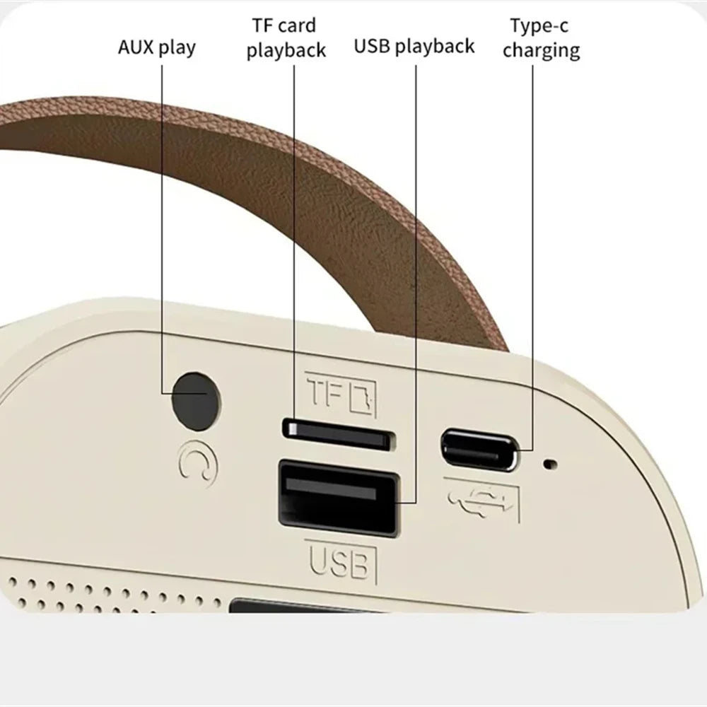 Karaoke Portatile - Divertimento Senza Limiti con Bluetooth 5.3, 2 Microfoni e Audio HiFi per Tutta la Famiglia!