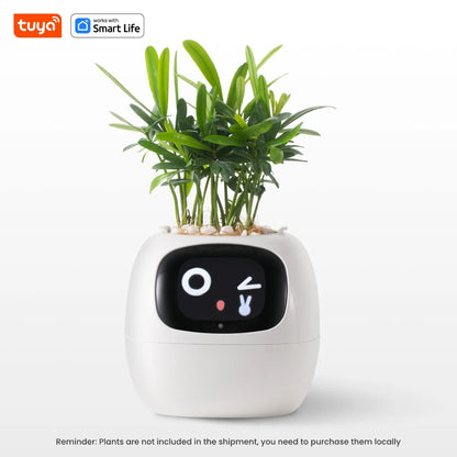 Il Vaso Intelligente che Rende il Giardinaggio Facile, Divertente e Hi-Tech con Oltre 49 Espressioni, 7 Sensori Intelligenti e Chip AI